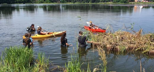 Lansarea SDSN România